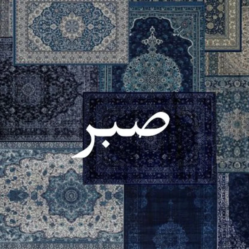 anwar abualia